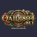 Qaidi804 bet Game