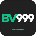 BV999 Game