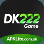 DK222 Game