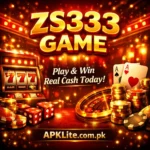 Zs333 Game