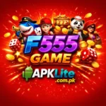 F555 Game