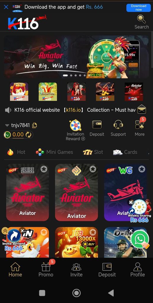 K116 Game
